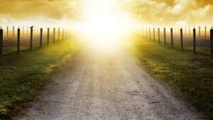 You're On The Right Path